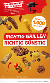 Kaufland Prospekt Seite 13