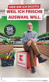 Kaufland Prospekt Seite 15