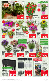 Kaufland Prospekt Seite 18