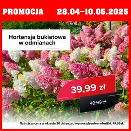 Szarotka gazetka Strona 1