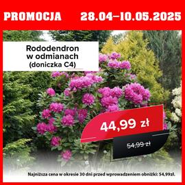 Szarotka gazetka Strona 3
