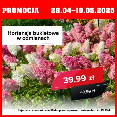 flyer-cover