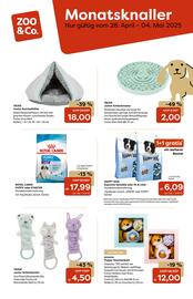 Zoo & Co Prospekt woche 18 Seite 1