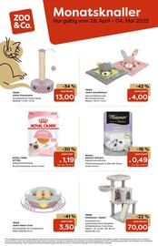 Zoo & Co Prospekt woche 18 Seite 2