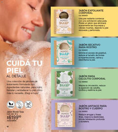 Catálogo Millanel Cosmética Página 288