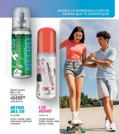 Catálogo Millanel Cosmética Página 295