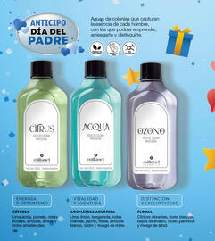 Catálogo Millanel Cosmética Página 380