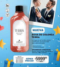 Catálogo Millanel Cosmética Página 381