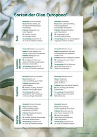 Lagerhaus Flugblatt Seite 21