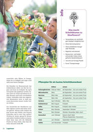 Lagerhaus Flugblatt Seite 24