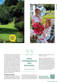 Lagerhaus Flugblatt Seite 27