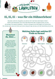 Lagerhaus Flugblatt Seite 6