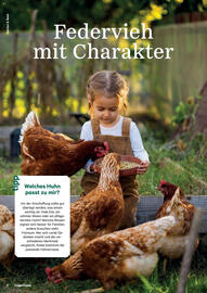 Lagerhaus Flugblatt Seite 8