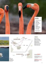 Flight Centre catalogue week 18 Page 25