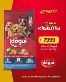 Catálogo Autoservicio Capo Página 4