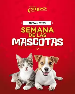Catálogo Autoservicio Capo (válido hasta 2-05)