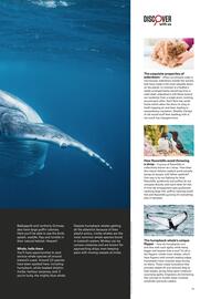Flight Centre catalogue Page 19