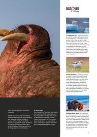 Flight Centre catalogue Page 31
