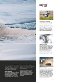 Flight Centre catalogue Page 45