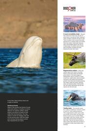 Flight Centre catalogue Page 67