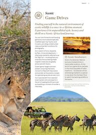 Flight Centre catalogue Page 17