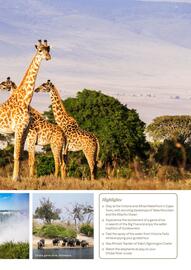 Flight Centre catalogue Page 33
