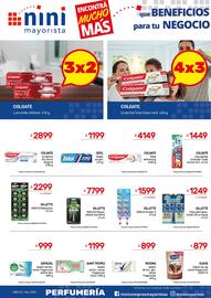 Catálogo Nini Mayorista semana 18 Página 3