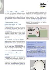 Unimarkt Flugblatt Seite 85