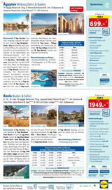 Lidl Flugblatt Seite 11