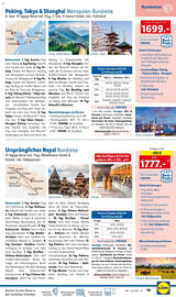 Lidl Flugblatt Seite 19