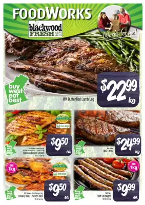 Foodworks catalogue (valid until 6-05)