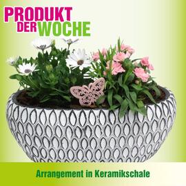 Blumen B&B Flugblatt woche 18 Seite 1