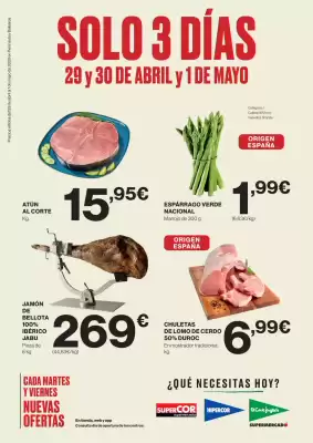 Folleto El Corte Inglés (válido hasta el 1-05)