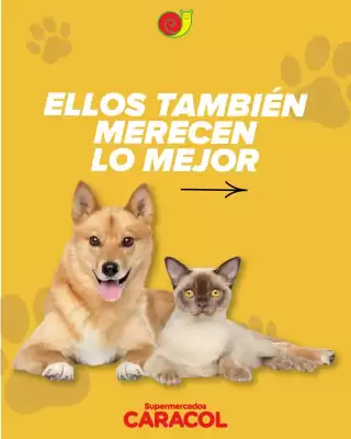 Catálogo Supermercados Caracol (válido hasta 5-05)