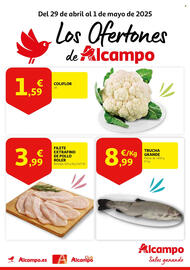 Folleto Alcampo Página 1