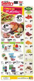 Sentry Weekly Ad week 21 Page 1