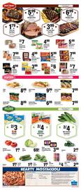 Sentry Weekly Ad week 21 Page 2