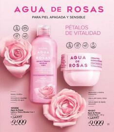 Catálogo Violetta Fabiani semana 18 Página 21
