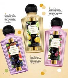 Catálogo Violetta Fabiani semana 18 Página 72