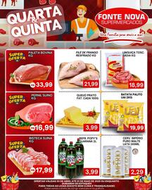 Catálogo Fonte Nova Página 1