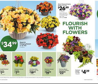 Fred Meyer Weekly Ad week 18 Page 20