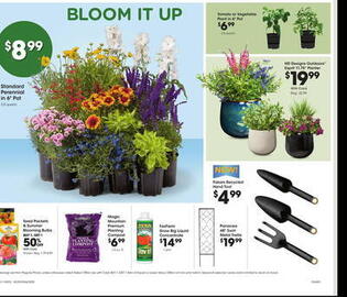 Fred Meyer Weekly Ad week 18 Page 21