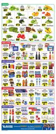 Sellers Bros Weekly Ad week 18 Page 4