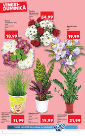 Catalog Kaufland Pagină 6