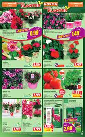 Catalogue Norma semaine 19 page 15