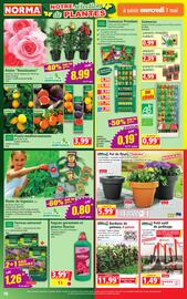 Catalogue Norma semaine 19 page 16