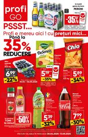 Catalog PROFI Pagină 1