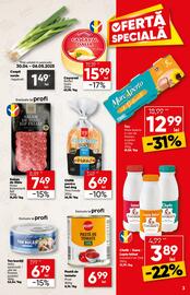 Catalog PROFI Pagină 3