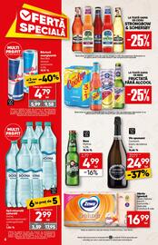 Catalog PROFI Pagină 6