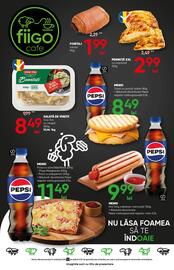 Catalog PROFI Pagină 7